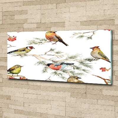 Foto op plexiglas Bosvogels en planten