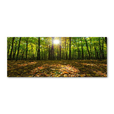 Foto in plexiglas Woud