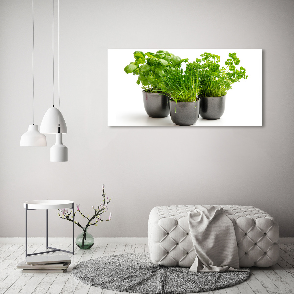 Schilderij op acrylglas Kruiden in potten