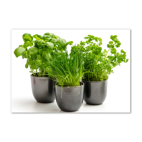 Schilderij op acrylglas Kruiden in potten