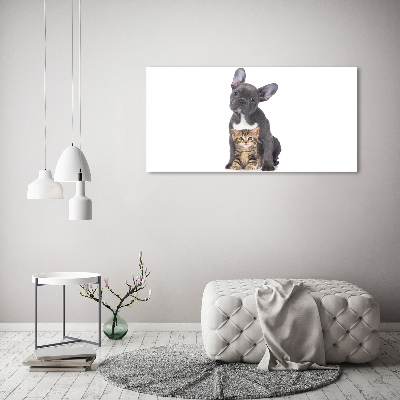 Plexiglas foto Hond en kat