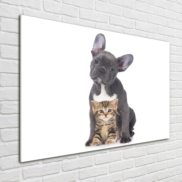 Plexiglas foto Hond en kat