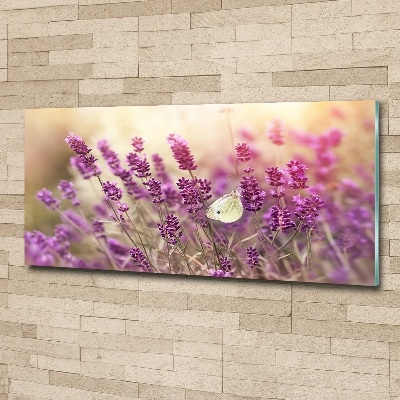 Foto op plexiglas Lavendel