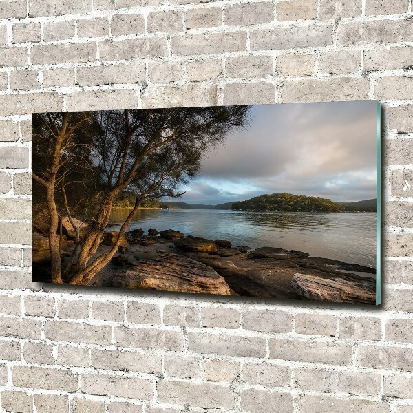 Foto plexiglas Een boom aan de rivier