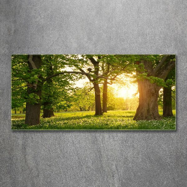 Foto in plexiglas Bomen in het park