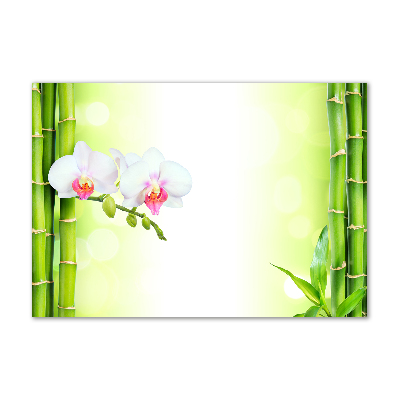 Foto in plexiglas Orchidee en bamboe