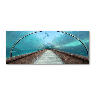 Foto plexiglas Aquariumtunnel