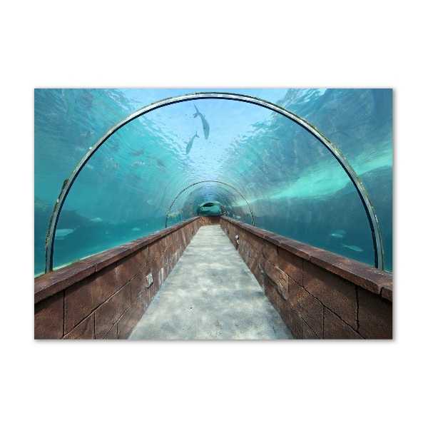 Foto plexiglas Aquariumtunnel