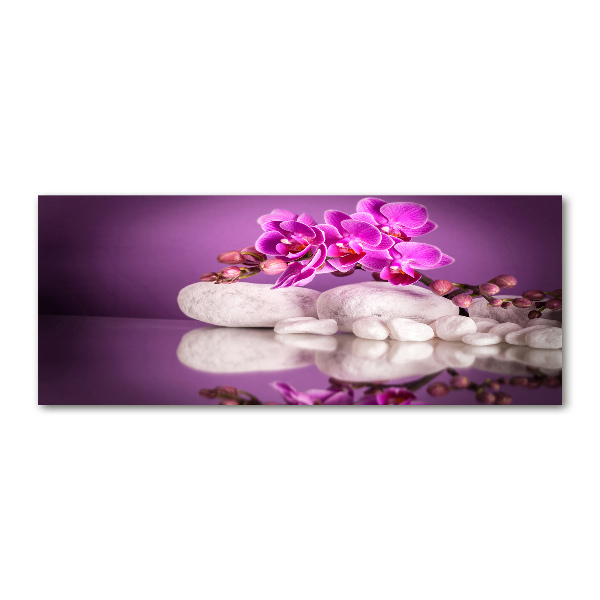 Plexiglas schilderij Roze orchidee