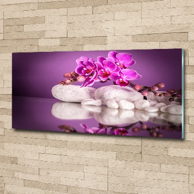 Plexiglas schilderij Roze orchidee