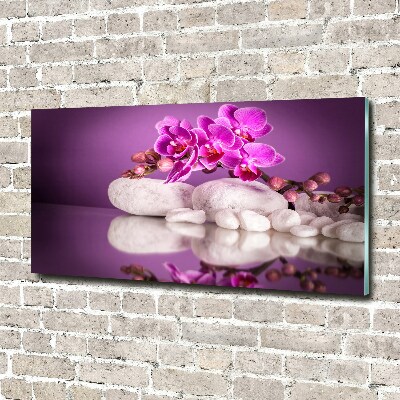 Plexiglas schilderij Roze orchidee