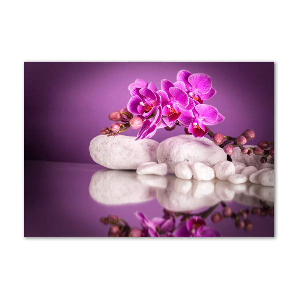 Plexiglas schilderij Roze orchidee