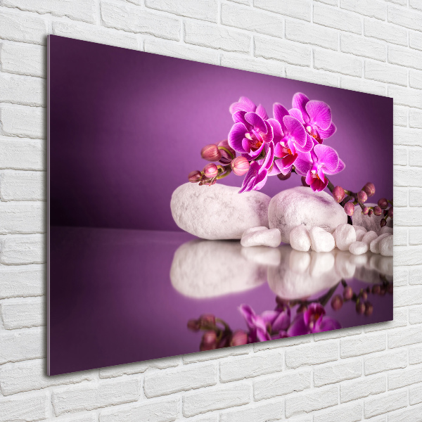 Plexiglas schilderij Roze orchidee