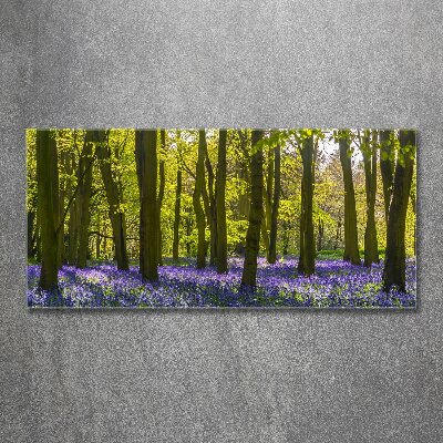 Plexiglas schilderij Bos in de lente