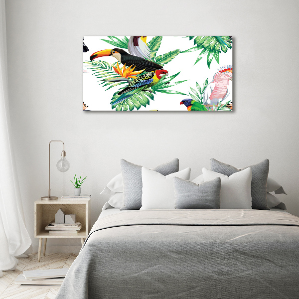 Foto plexiglas Tropische vogels