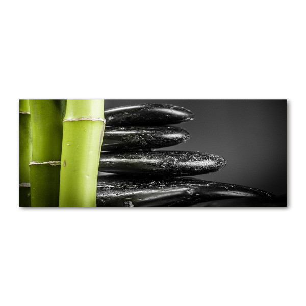 Schilderij op acrylglas Bamboe