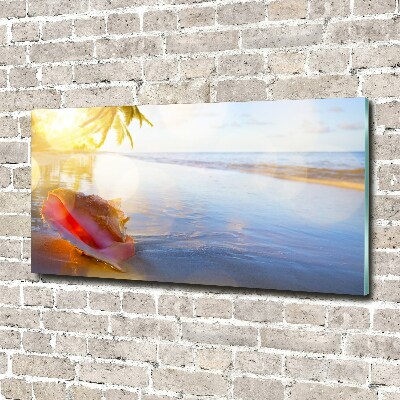 Plexiglas schilderij Een schelp op het strand