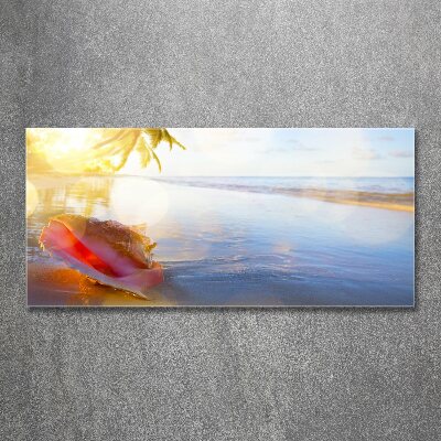 Plexiglas schilderij Een schelp op het strand