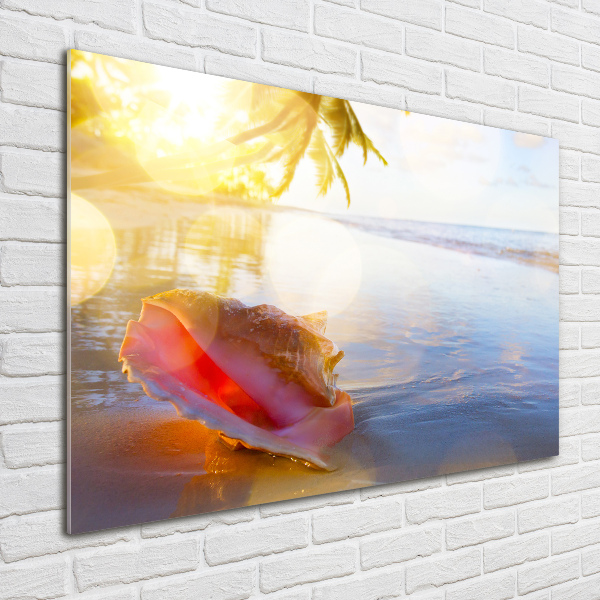 Plexiglas schilderij Een schelp op het strand