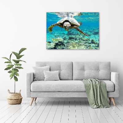 Plexiglas schilderij Zeeschildpad