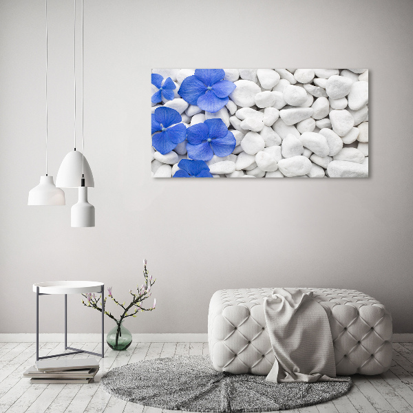 Schilderij op acrylglas Hortensia