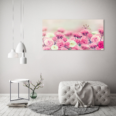 Plexiglas schilderij Wilde rozenbloemen