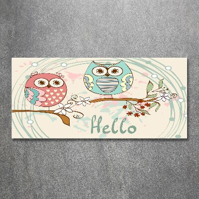 Foto op plexiglas Uilen