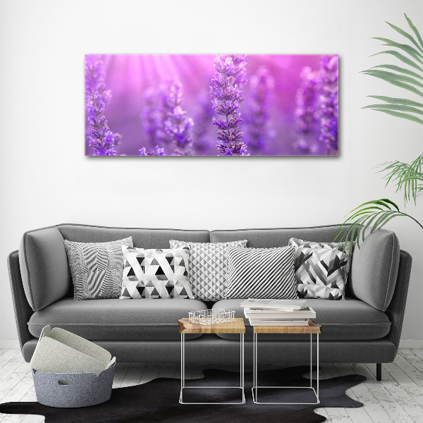 Foto plexiglas Lavendel