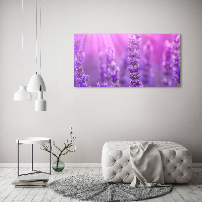 Foto plexiglas Lavendel