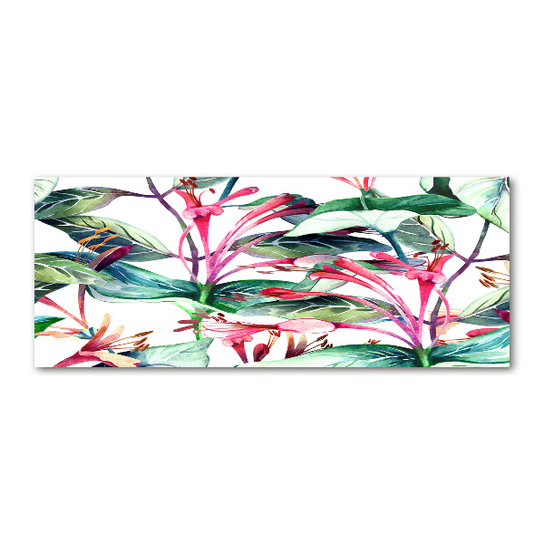 Foto op plexiglas Kamperfoelie