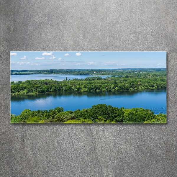 Foto obraz szkło akryl Las nad jeziorem