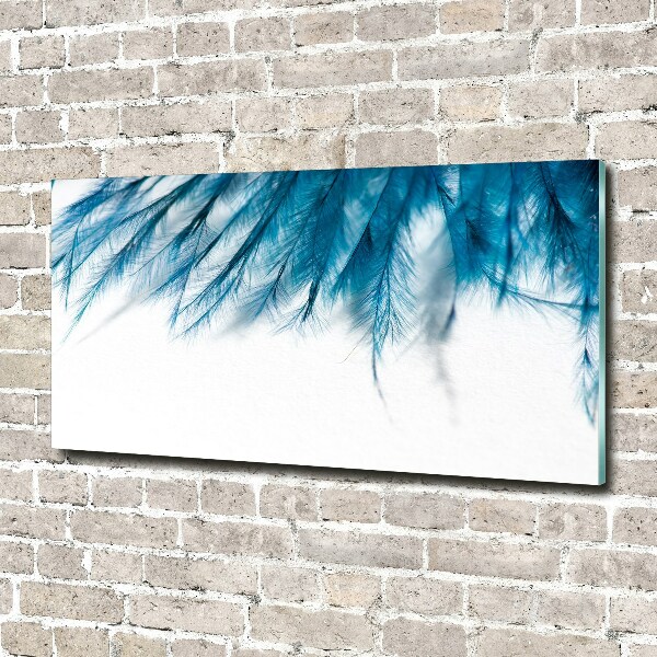 Foto op plexiglas Blauwe veren