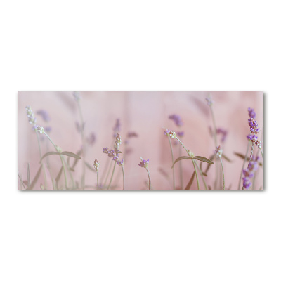 Foto plexiglas Lavendel