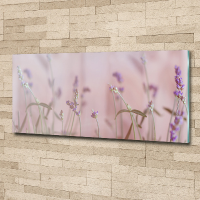 Foto plexiglas Lavendel