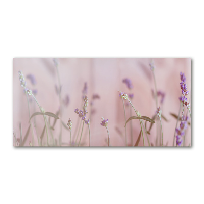 Foto plexiglas Lavendel