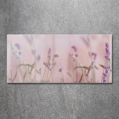 Foto plexiglas Lavendel