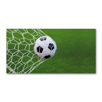 Foto obraz szkło akryl Piłka w bramce