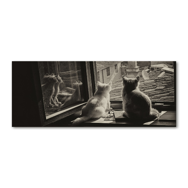 Obraz zdjęcie szkło akryl Koty przy oknie