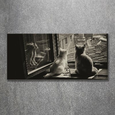Plexiglas schilderij Katten voor het raam