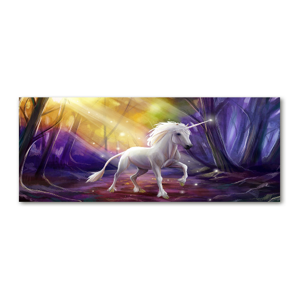 Obraz zdjęcie na ścianę akryl Jednorożec