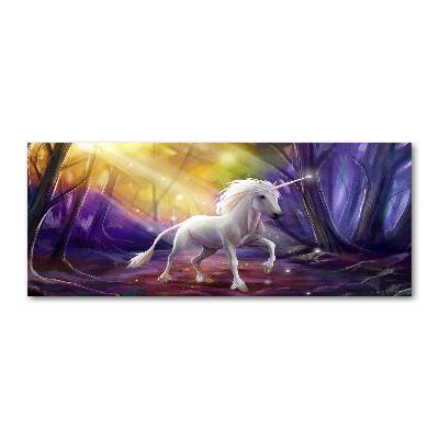Obraz zdjęcie na ścianę akryl Jednorożec