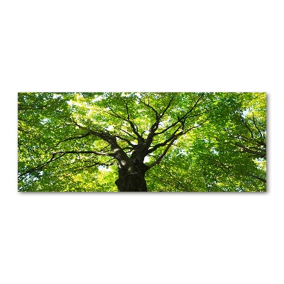 Plexiglas schilderij Groen bos