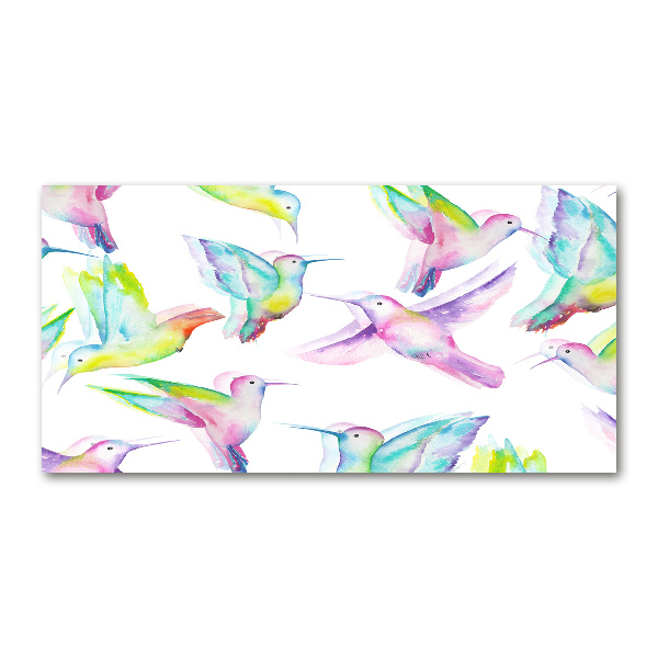 Foto op plexiglas Kolibries