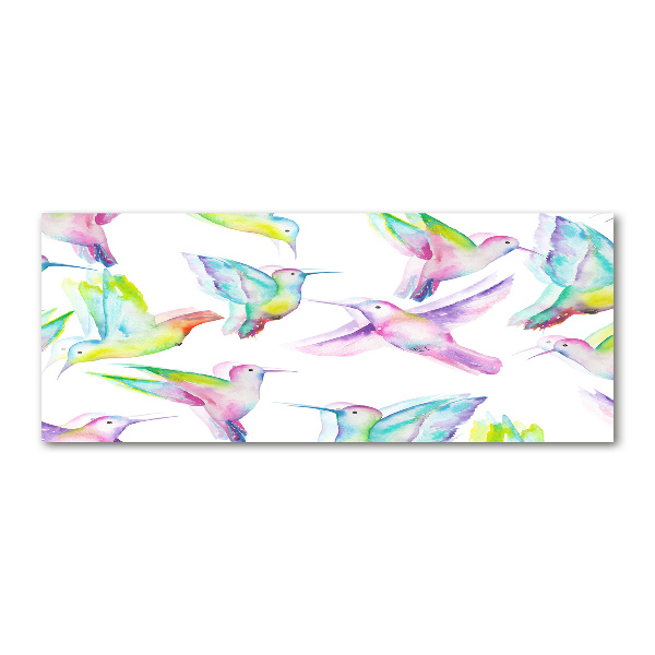 Obraz zdjęcie na scianę akrylowy Kolibry