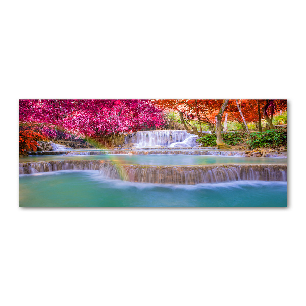 Schilderij op acrylglas Waterval in het bos