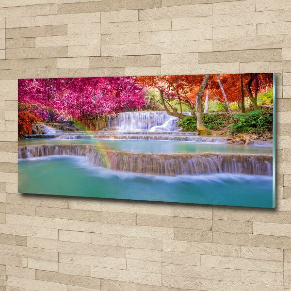 Schilderij op acrylglas Waterval in het bos