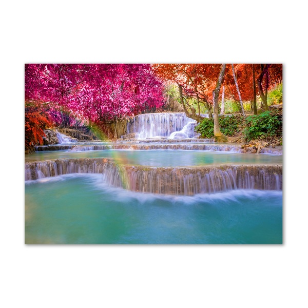 Schilderij op acrylglas Waterval in het bos