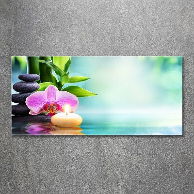 Plexiglas foto Bamboe-orchidee