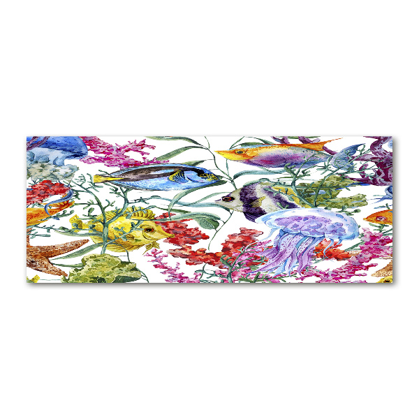 Plexiglas foto Koraalrif