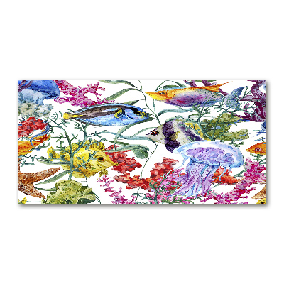 Plexiglas foto Koraalrif